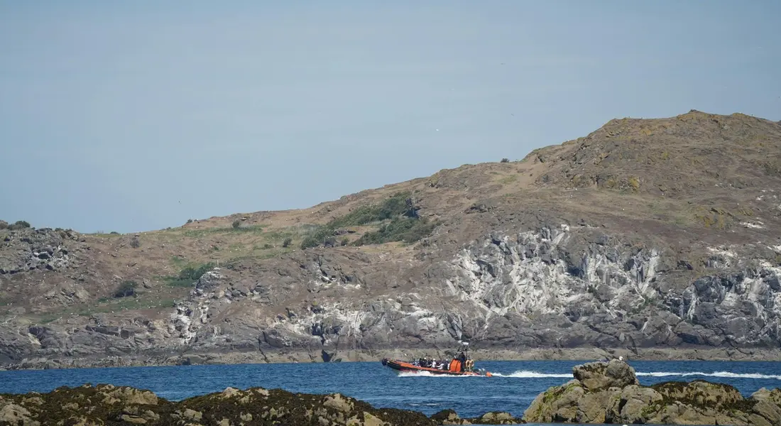 Small boat sailing on blue water near a rocky coastline under a clear sky.