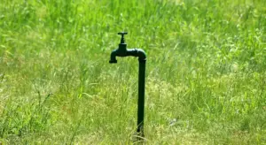 Outdoor water spigot standing upright in tall grass, illustrating a valve in a well system.