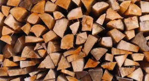 Stacked firewood logs