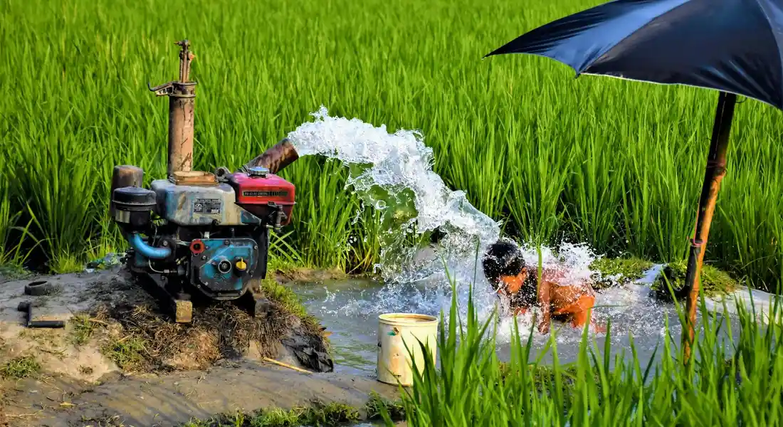 A small engine-driven irrigation pump sprays water across a flooded field with green crops and a blue umbrella nearby.