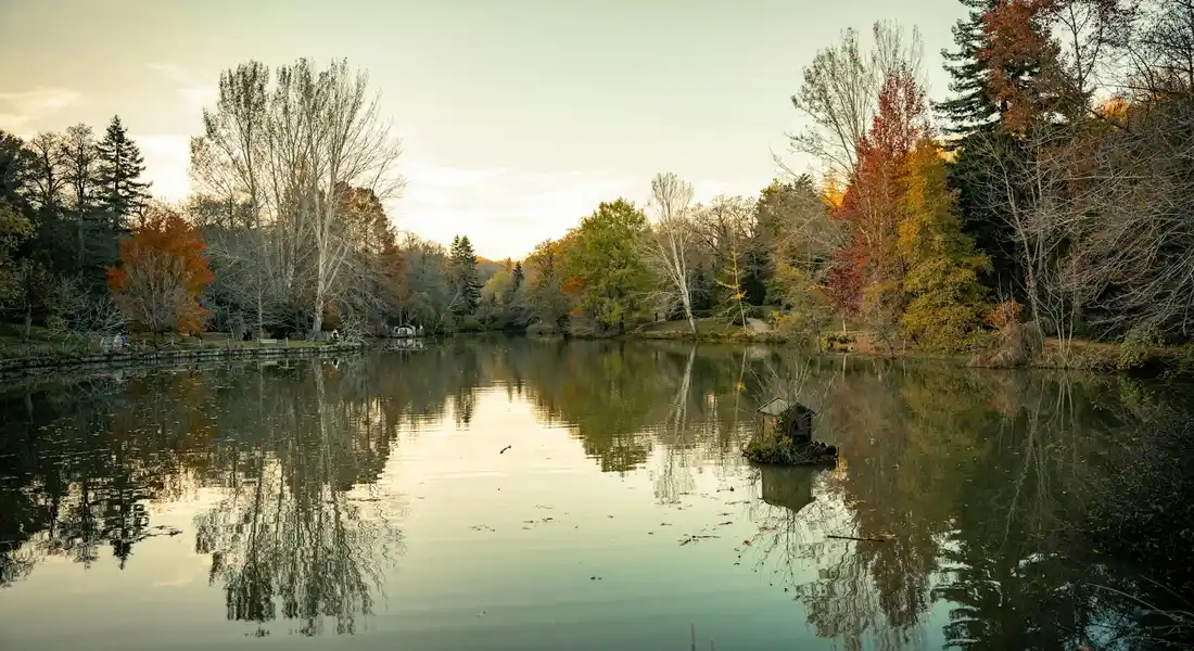 Autumn landscape with a calm lake surrounded by colorful trees, reflecting in the water.