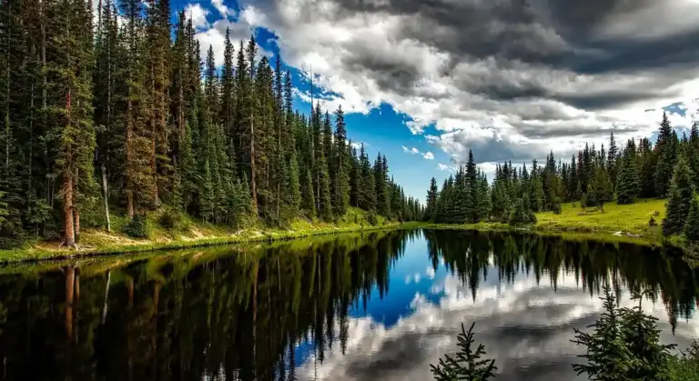 Scenic lake surrounded by evergreen trees with clear blue sky and clouds reflected in the water