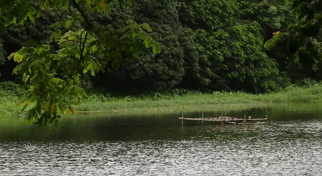 Calm lake with green trees along the shore and a small wooden raft on the water