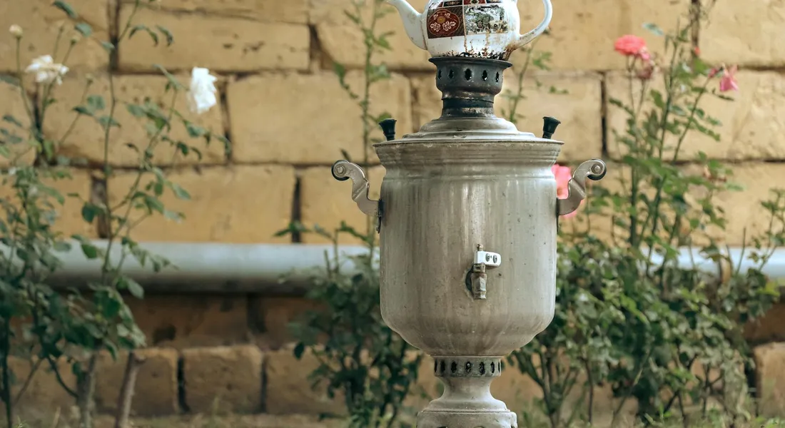 Outdoor water heater mounted on a stand against a brick wall with garden plants in the background.
