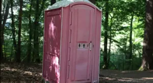 Pink portable toilet in a wooded area