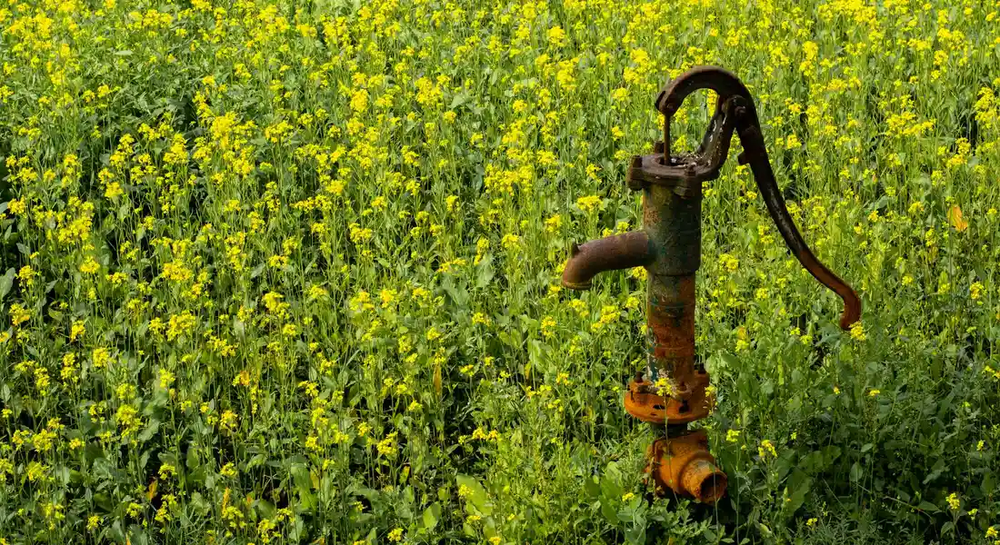 Rusty outdoor water valve with a curved handle in a field of yellow wildflowers