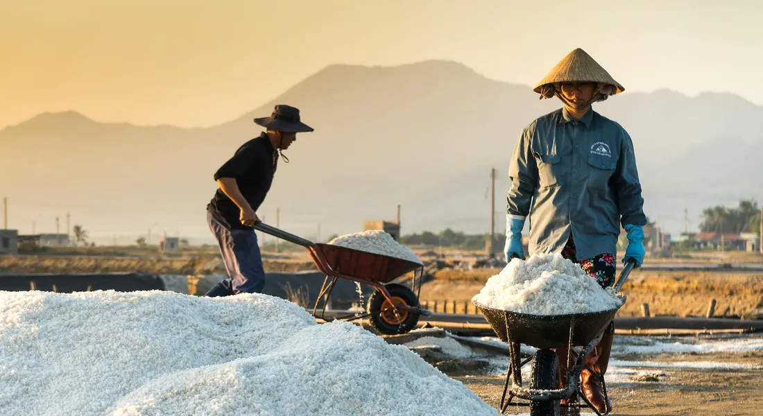 Two workers in wide-brim hats and gloves harvest and move piles of sea salt in a sunlit salt field, with wheelbarrows and distant mountains.