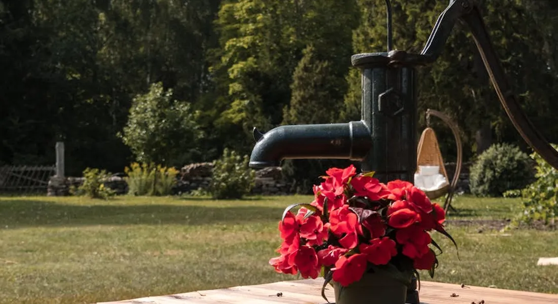 Outdoor scene featuring a sump pump assembly on a wooden surface with red flowers in the foreground and a garden background.