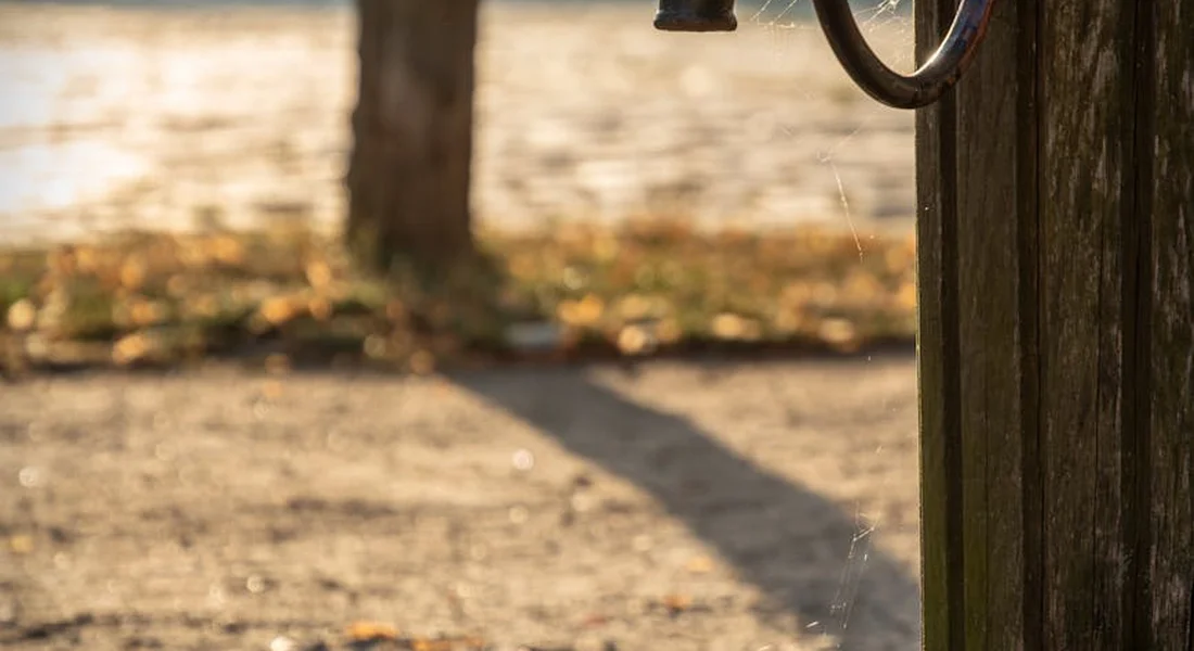 Outdoor sump pump discharge area with a pipe and a wooden post, in a yard with leaves on the ground