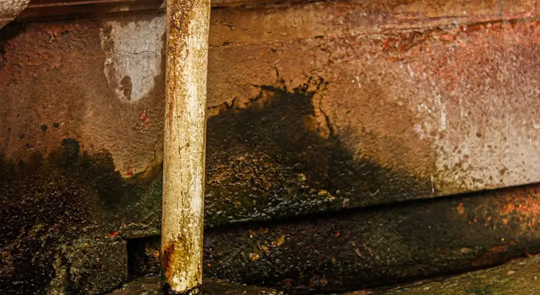 Close-up of a rusty vertical pipe against a damp, mossy wall, illustrating water infrastructure on private property.
