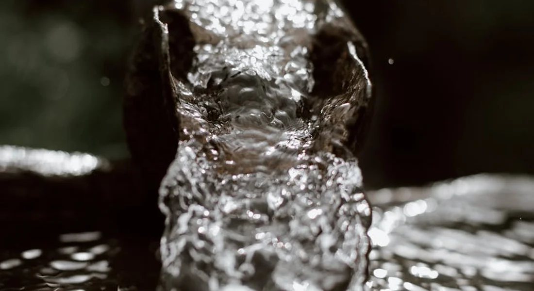 Close-up of water streaming from a pipe, with splashes and ripples.
