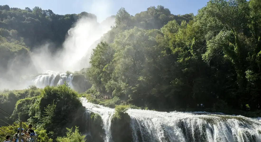 Waterfall surrounded by green trees with mist rising, illustrating cleansing action.