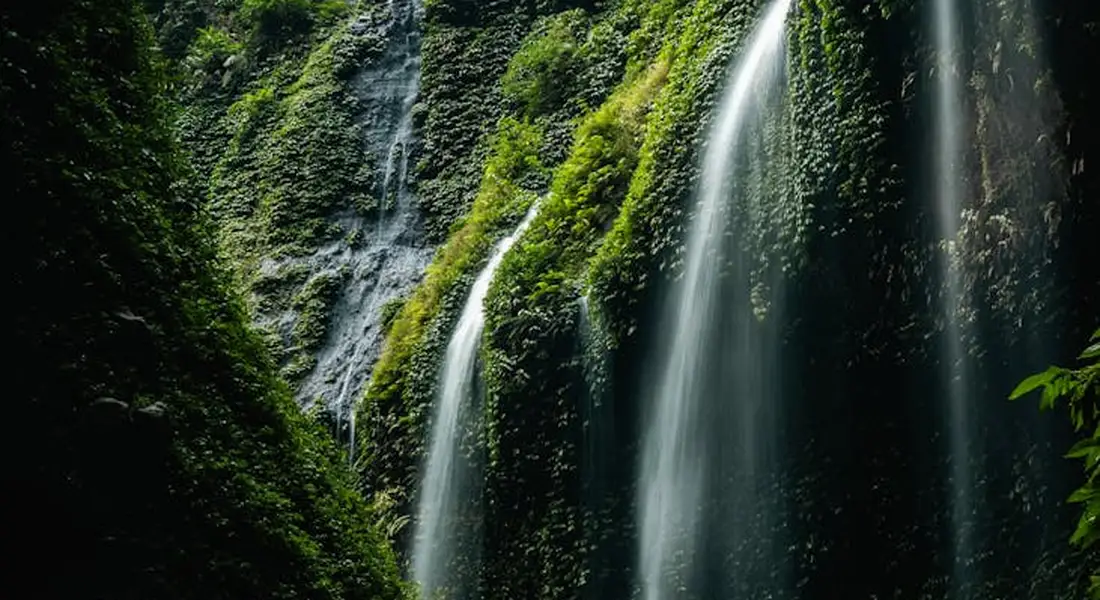 Moss-covered rock face with a cascading waterfall in a forest