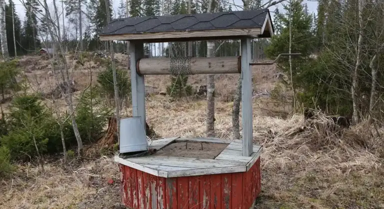 Old wooden hand well with a small roof in a rural, wooded area