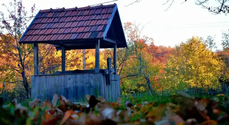 A small wooden rural well with a peaked roof in an autumn landscape, leaves on the ground.