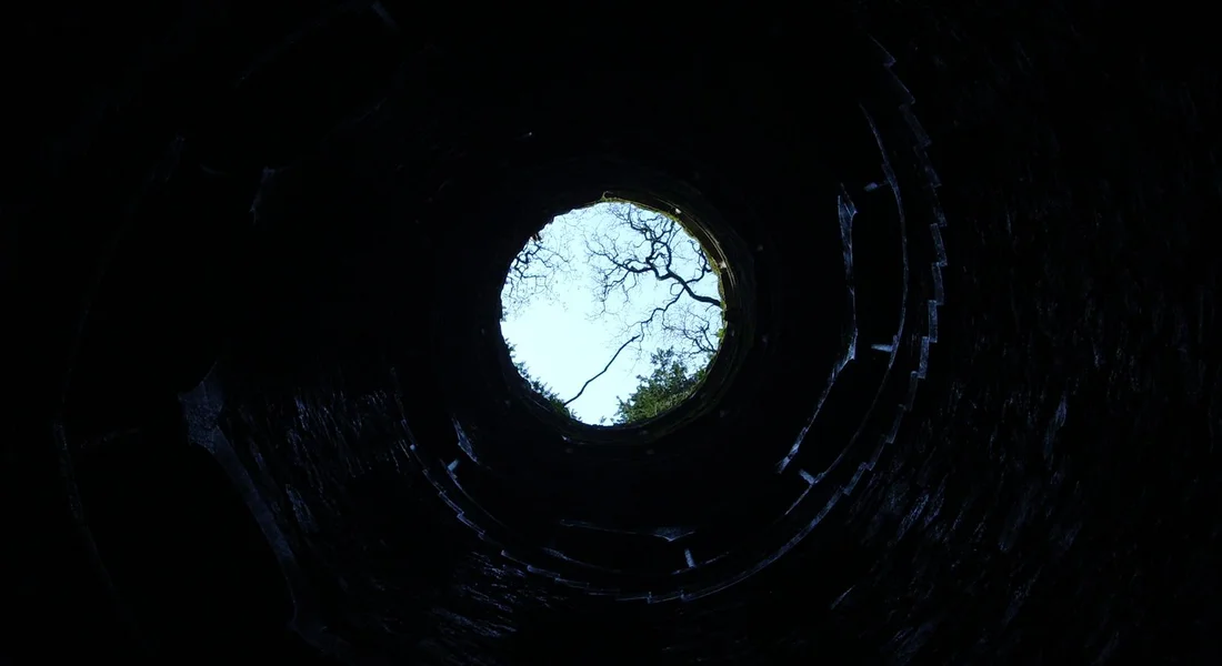 Looking up from inside a dark circular well shaft toward daylight with tree branches visible at the opening.