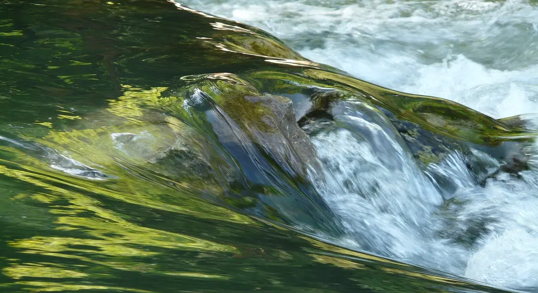 Close-up of flowing water with a greenish tint, capturing a calm, preparatory moment.