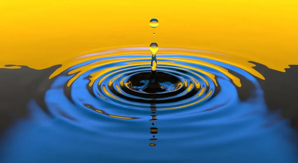 Water Softener Regeneration Water Use: The Homeowner’s Guide